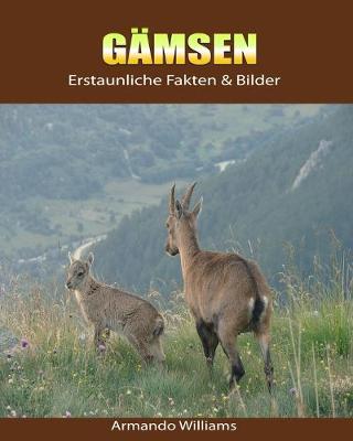 Book cover for Gamsen