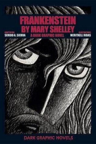 Cover of Frankenstein by Mary Shelley