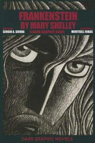 Cover of Frankenstein by Mary Shelley