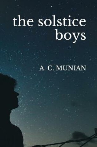 Cover of The solstice boys