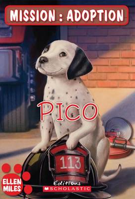 Book cover for Pico