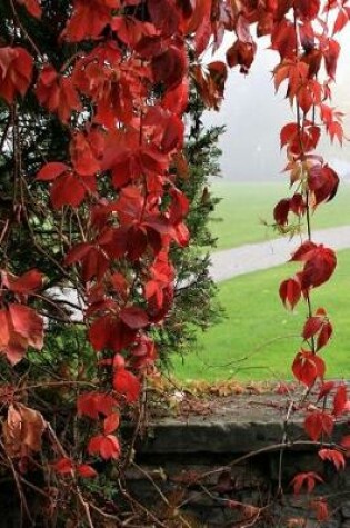 Cover of A Cascade of Red Leaves in the Fall Journal