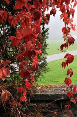 Book cover for A Cascade of Red Leaves in the Fall Journal