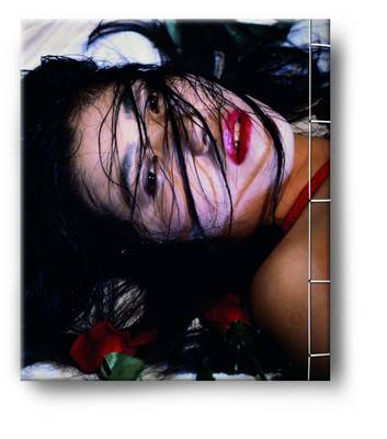 Book cover for Nobuyoshi Araki, Bondage Book