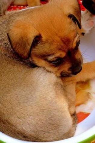 Cover of Sleeping Puppy in a Bowl (for the Love of Dogs)