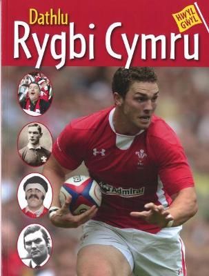 Book cover for Hwyl Gŵyl: Dathlu Rygbi Cymru