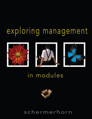 Book cover for Exploring Management