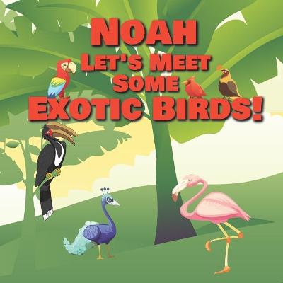 Book cover for Noah Let's Meet Some Exotic Birds!