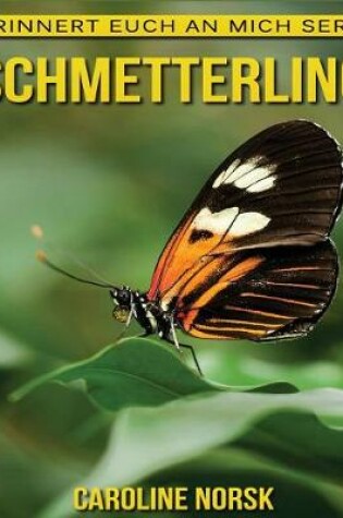 Cover of Schmetterling