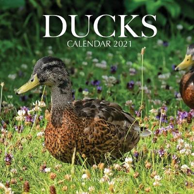 Book cover for Ducks Calendar 2021