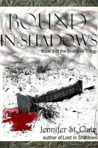 Cover of Bound in Shadows