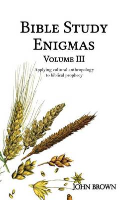 Book cover for Bible Study Enigmas, Volume III