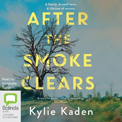 Book cover for After the Smoke Clears