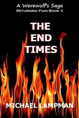 Book cover for The End Times