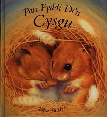 Book cover for Pan Fyddi Di'n Cysgu