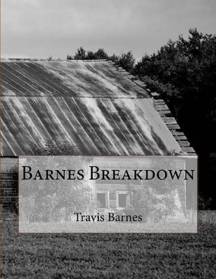 Book cover for Barnes Breakdown