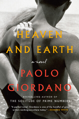 Cover of Heaven and Earth