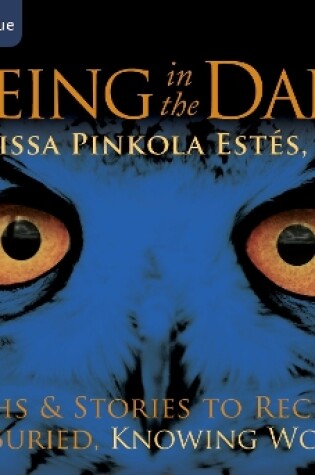 Cover of Seeing in the Dark