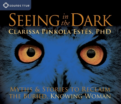 Book cover for Seeing in the Dark