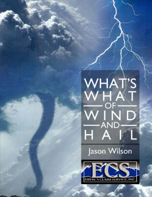 Book cover for What's What of Wind and Hail