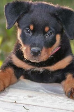 Cover of Rottweiler Puppy Trying to Get Up Journal