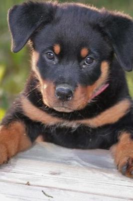 Book cover for Rottweiler Puppy Trying to Get Up Journal