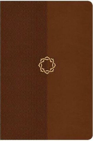 Cover of CSB Essential Teen Study Bible, Walnut LeatherTouch