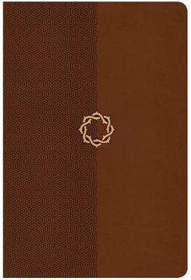 Book cover for CSB Essential Teen Study Bible, Walnut LeatherTouch