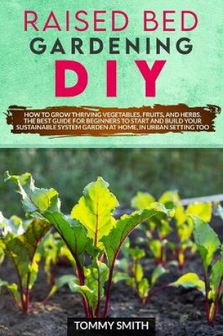 Cover of Raised Bed Gardening DIY