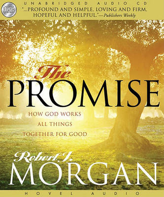 Book cover for The Promise