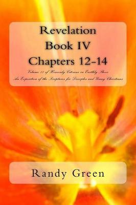 Book cover for Revelation Book IV