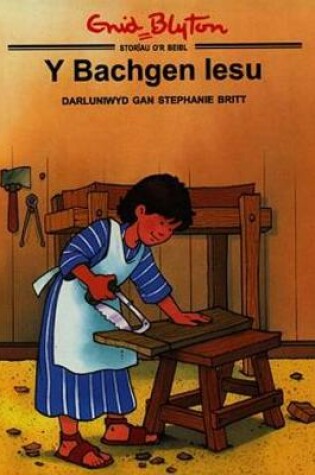 Cover of Cyfres Storïau o'r Beibl Enid Blyton: Bachgen Iesu, Y