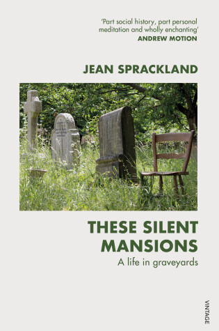 Cover of These Silent Mansions
