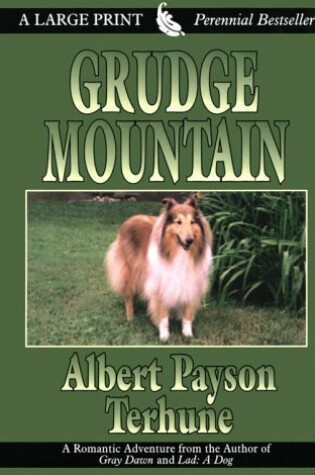 Cover of Grudge Mountain