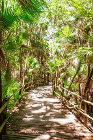 Cover of Website Password Organizer a Bridge in Bacab Jungle Park, Belize