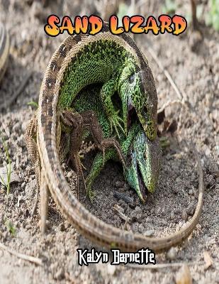 Book cover for Sand Lizard Facts