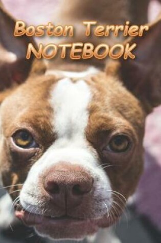 Cover of Boston Terrier NOTEBOOK