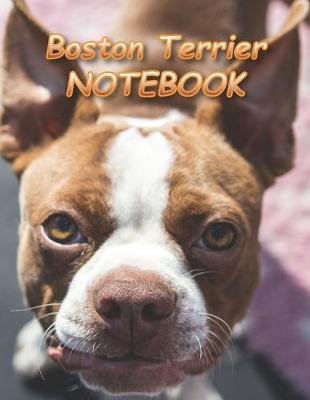 Book cover for Boston Terrier NOTEBOOK