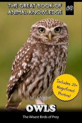 Book cover for Owls