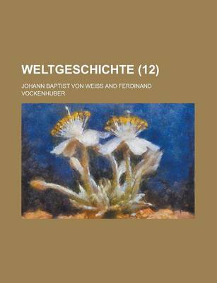 Book cover for Weltgeschichte (12)