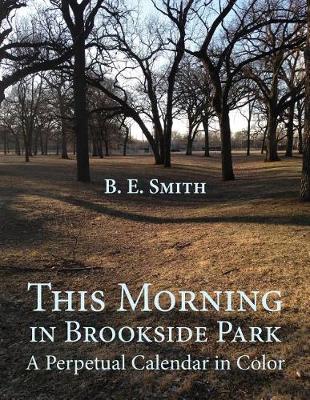 Book cover for This Morning in Brookside Park