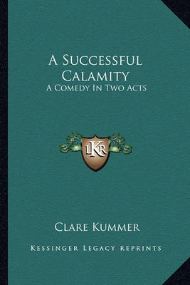 Book cover for A Successful Calamity a Successful Calamity