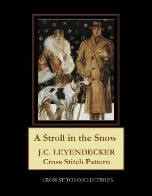 Book cover for A Stroll in the Snow