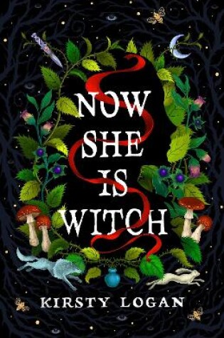 Cover of Now She is Witch