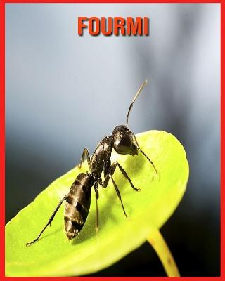 Book cover for Fourmi