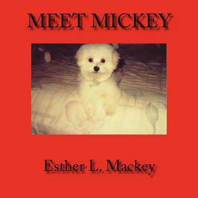 Book cover for Meet Mickey