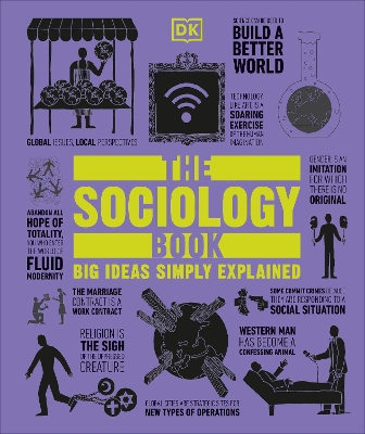 Book cover for The Sociology Book