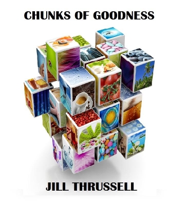 Book cover for Chunks of Goodness