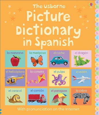 Book cover for Picture Dictionary in Spanish