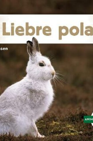 Cover of Liebre Polar (Arctic Hare)